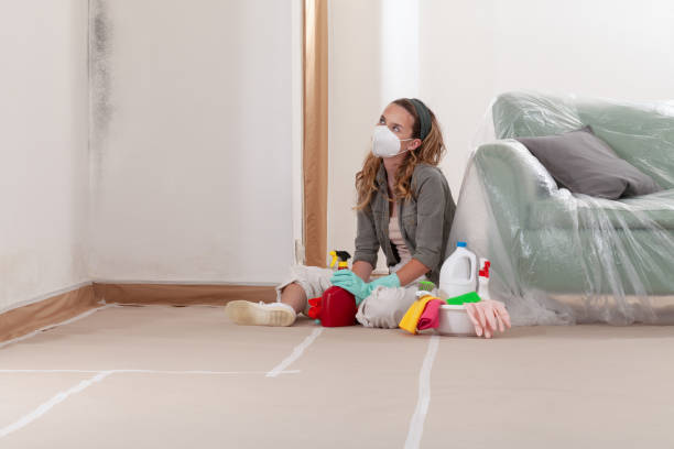 Reliable Commercial Mold Remediation contractor in Lafayette, CO by WQB Mold Removal